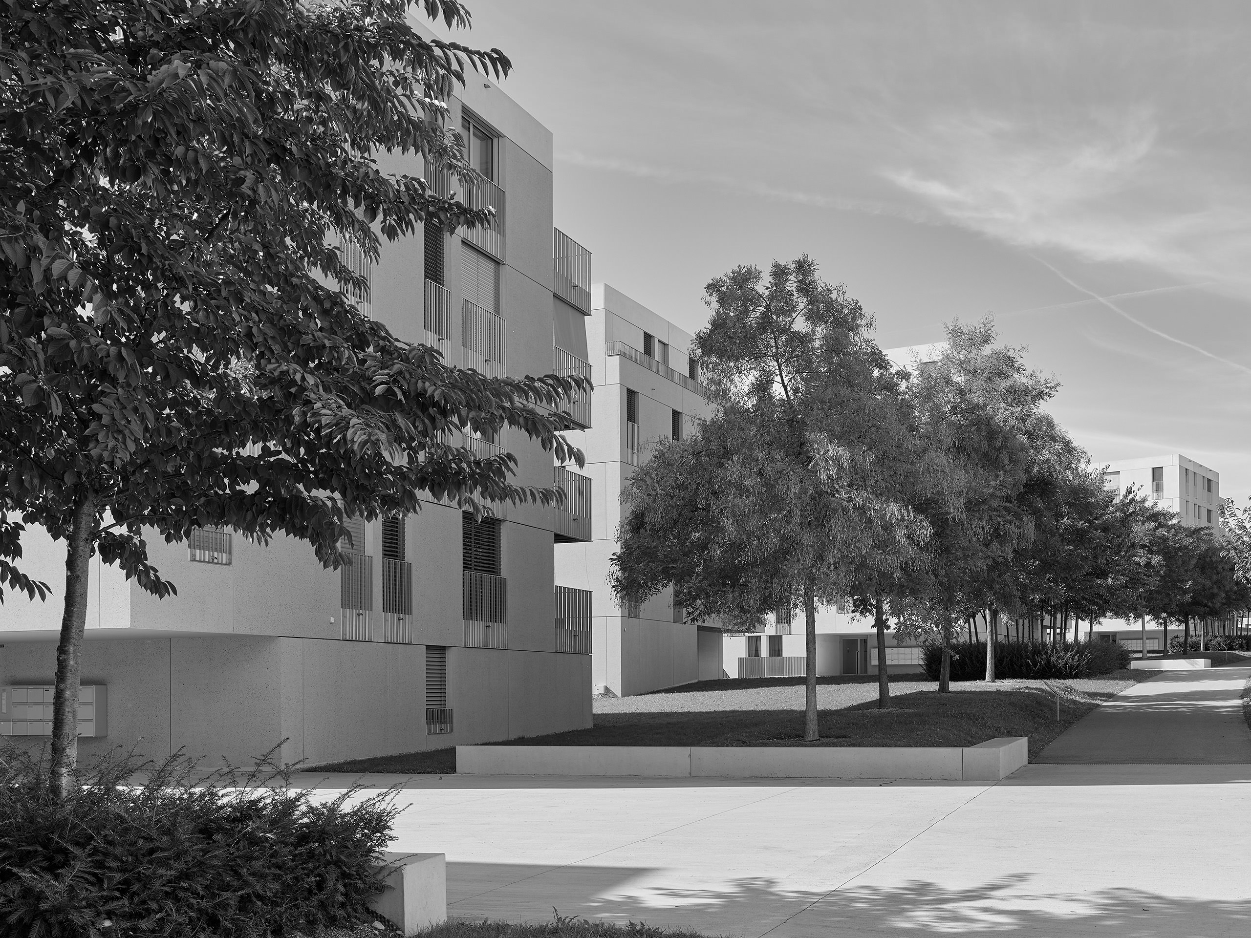 ahp0084 · Brauen Wälchli Jonchets